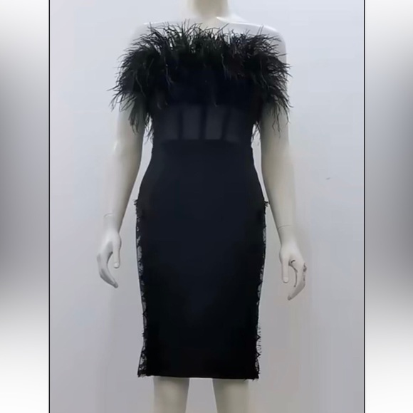 Black Strapless Ostrich Feather Trim Mini Dress with Lace Mesh Side Panels - Picture 5 of 8